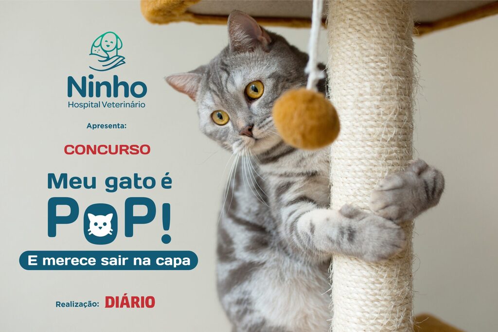 Seu gato pode sair na capa do Diário e ganhar presentes!