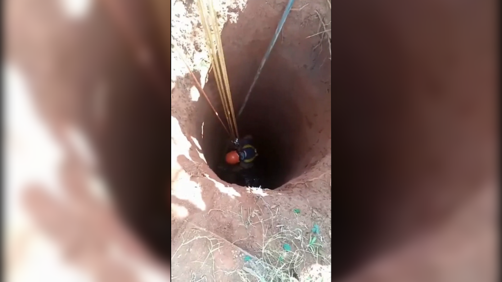 Vaca cai em poço de 10 metros e é resgatada por bombeiros em Cruz Alta; veja o vídeo