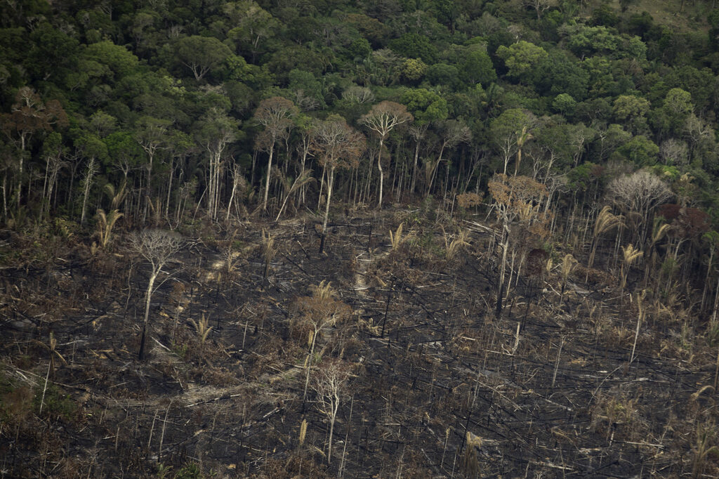 Em 2022, Amazônia teve maior desmatamento em 15 anos, mostra pesquisa