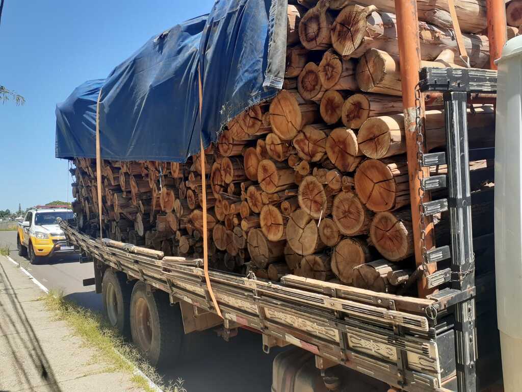 Abordado por transportar madeira de forma irregular, caminhoneiro é preso por embriaguez ao volante em Santa Maria