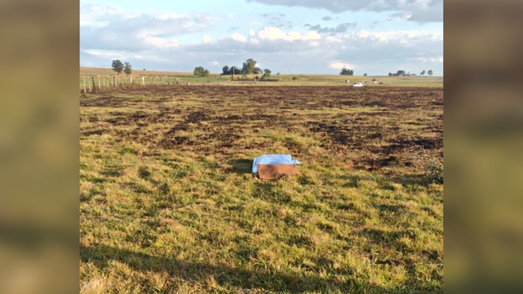 Após atear fogo em vegetação, idoso é encontrado morto em Santa Maria