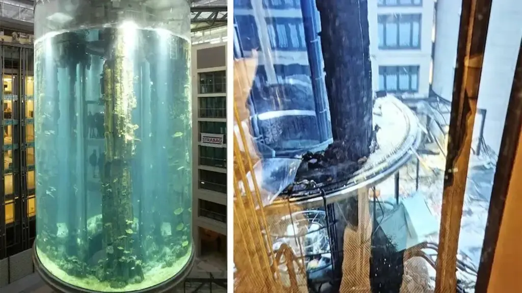 Aquário gigante com 1.500 peixes exóticos estoura em Berlim