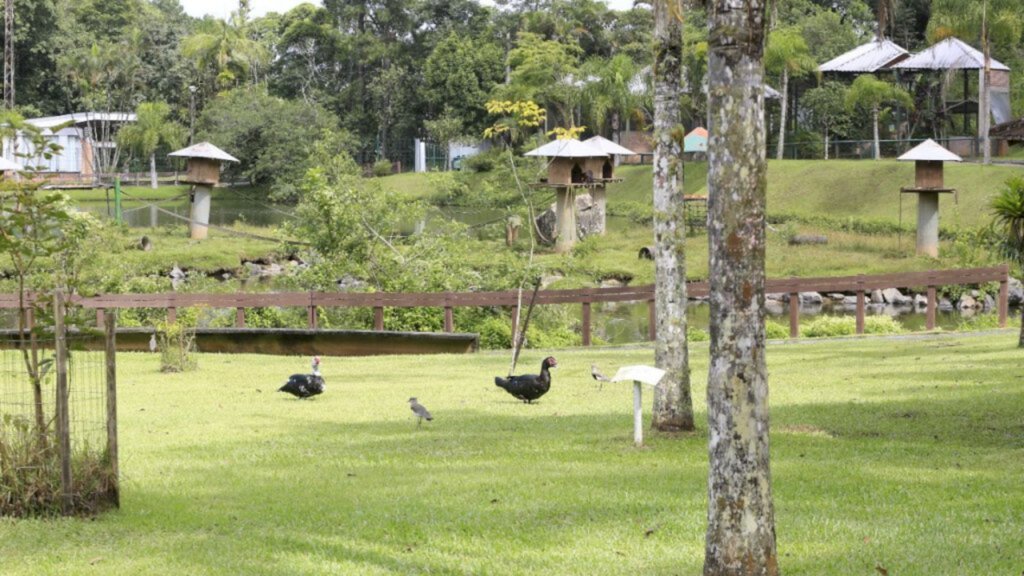 Parque Zoobotânico passa por manutenção nessa semana