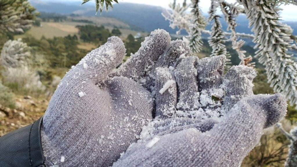 Primeira neve de 2022 em SC é registrada