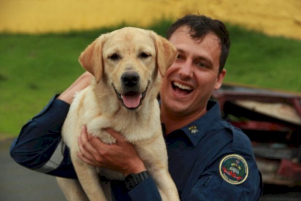 Bombeiros Militar de Santa Catarina tem mais uma dupla formada por bombeiro e cão certificada