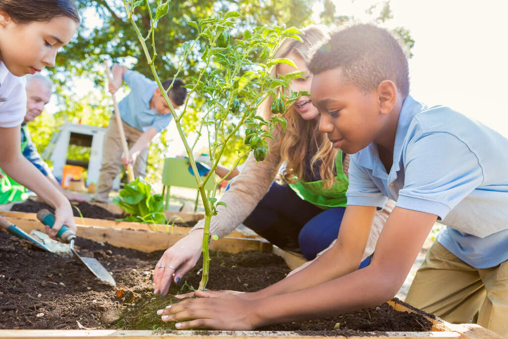 Práticas sustentáveis que podem ser implementadas na escola