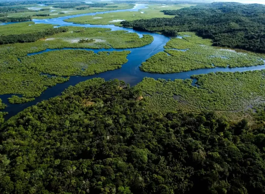 Serra Catarinense investe para preservar sua maior riqueza