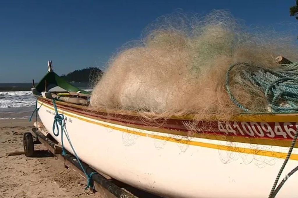  - Com a chegada do frio, pescadores de SC esperam bons lanços de tainha em junho — Foto: Reprodução/NSC TV