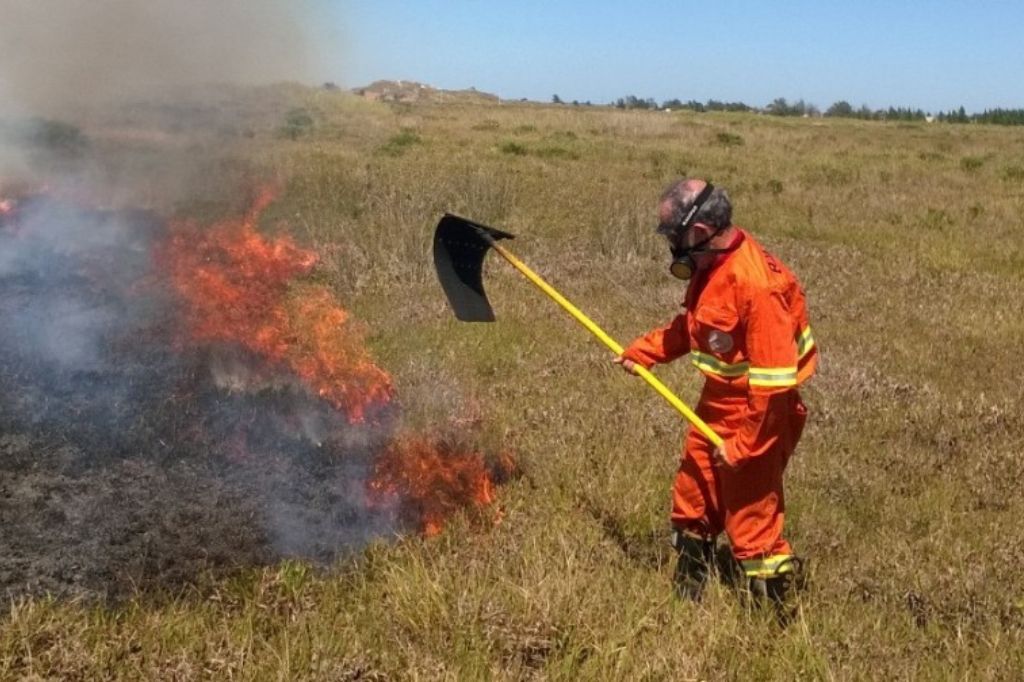 Corpo de Bombeiros de Imbituba atende fogo no mato, captura de animal silvestre e homem após queda de prédio