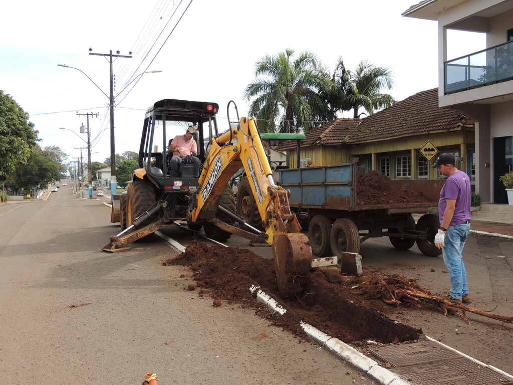 Árvores são removidas do canteiro central da Avenida Brasília