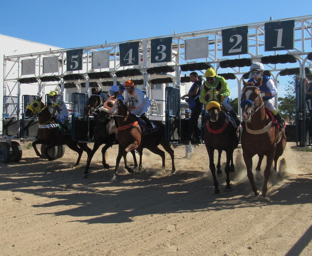 Foto: Álvaro Guimarães - Especial - Quatro provas movimentam o dia no hipódromo