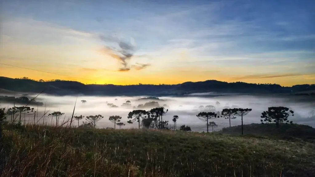 Frio em Santa Catarina: máximas não ultrapassam os 15°C