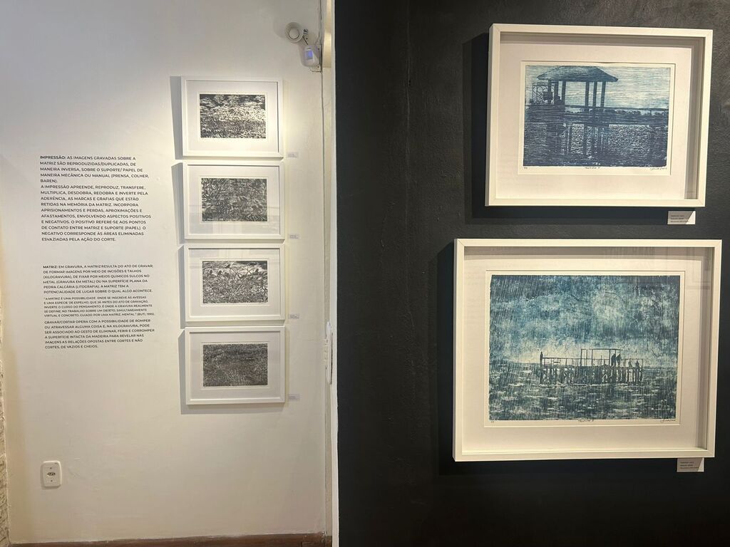 Fotos: Divulgação - DP - Balneário e Laranjal e Colônia Z3 estão entre as imagens capturadas