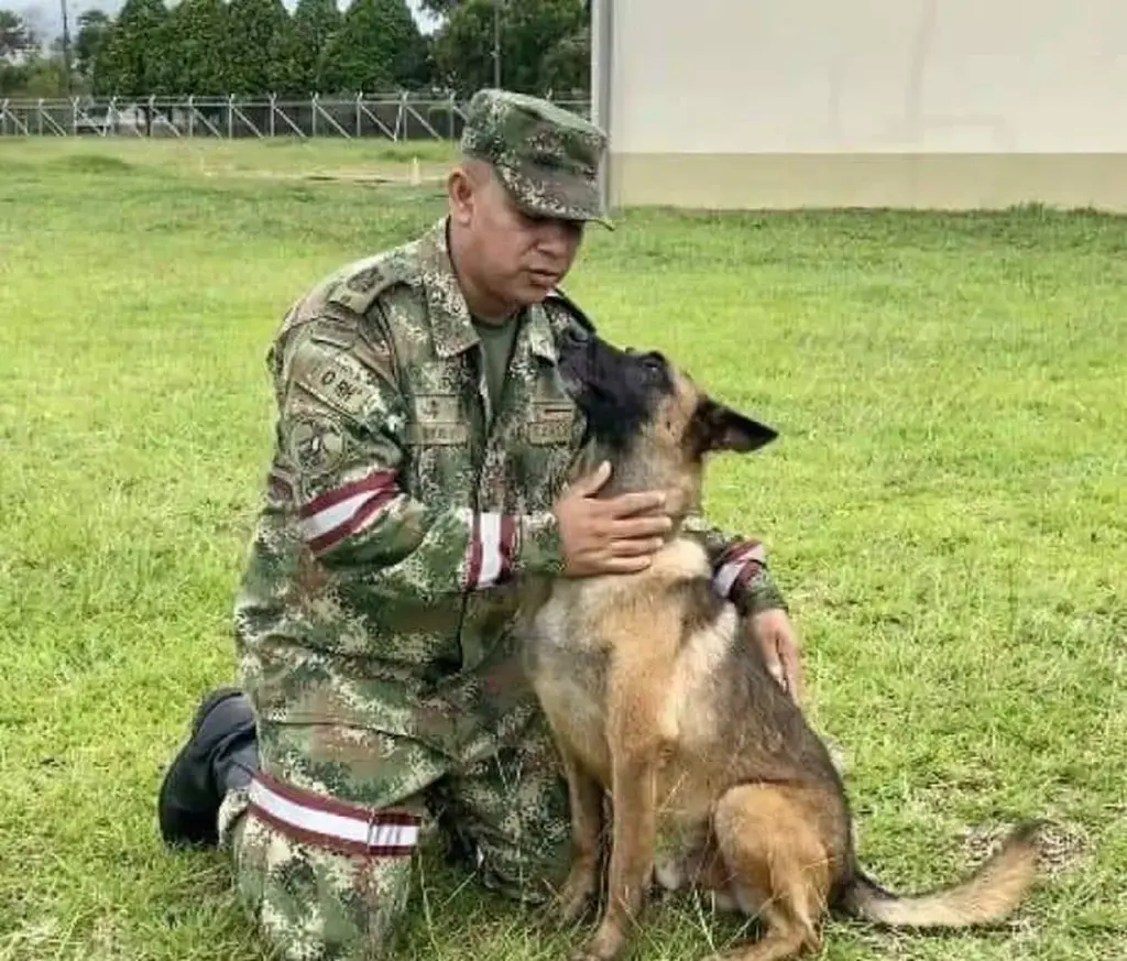 Wilson, cachorro que ajudou a encontrar crianças na Colômbia, segue desaparecido