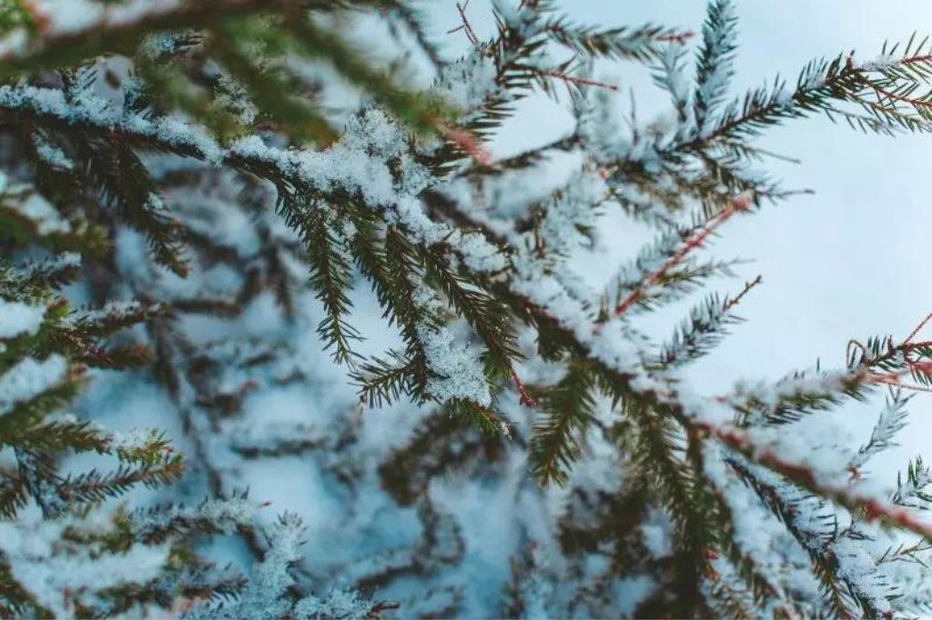  - Entre as consequências do fenômeno pode estar a diminuição da ocorrência de neve em Santa Catarina- Foto: Pexels/Reprodução