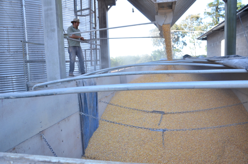 Expectativa de um novo recorde de produção