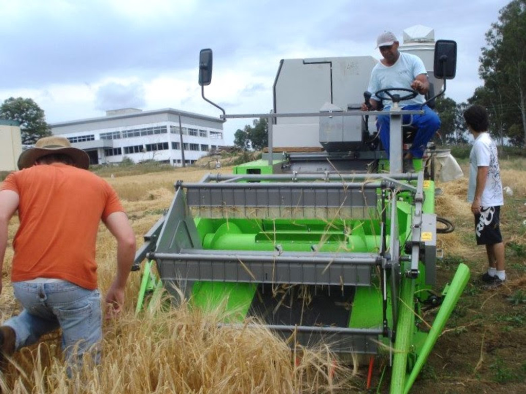 Udesc Lages recebe inscrições para mestrado e doutorado em Produção Vegetal até domingo