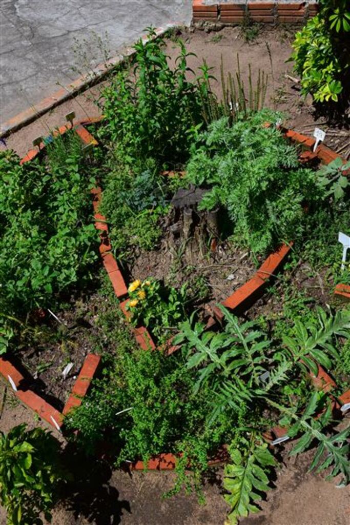 Projeto de alunos do 1º ano da Escola Duque de Caxias mistura saúde com consciência ambiental