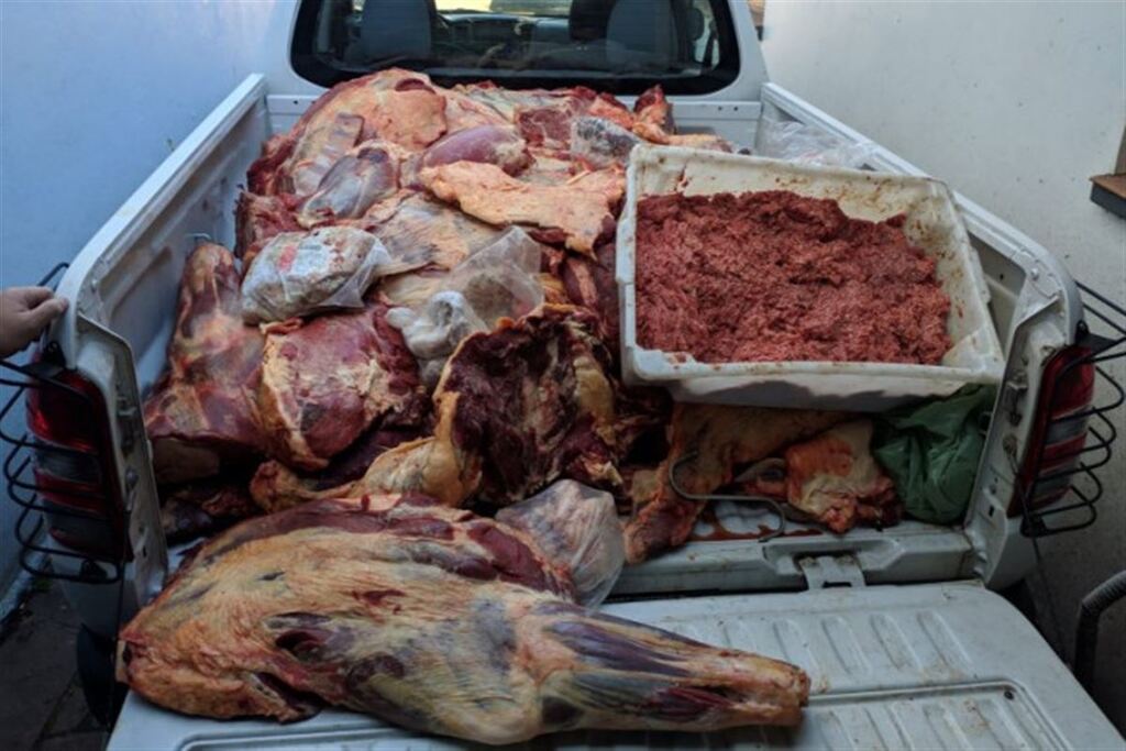 1,5 tonelada de carne imprópria para consumo humano é apreendida em açougue do Bairro Camobi