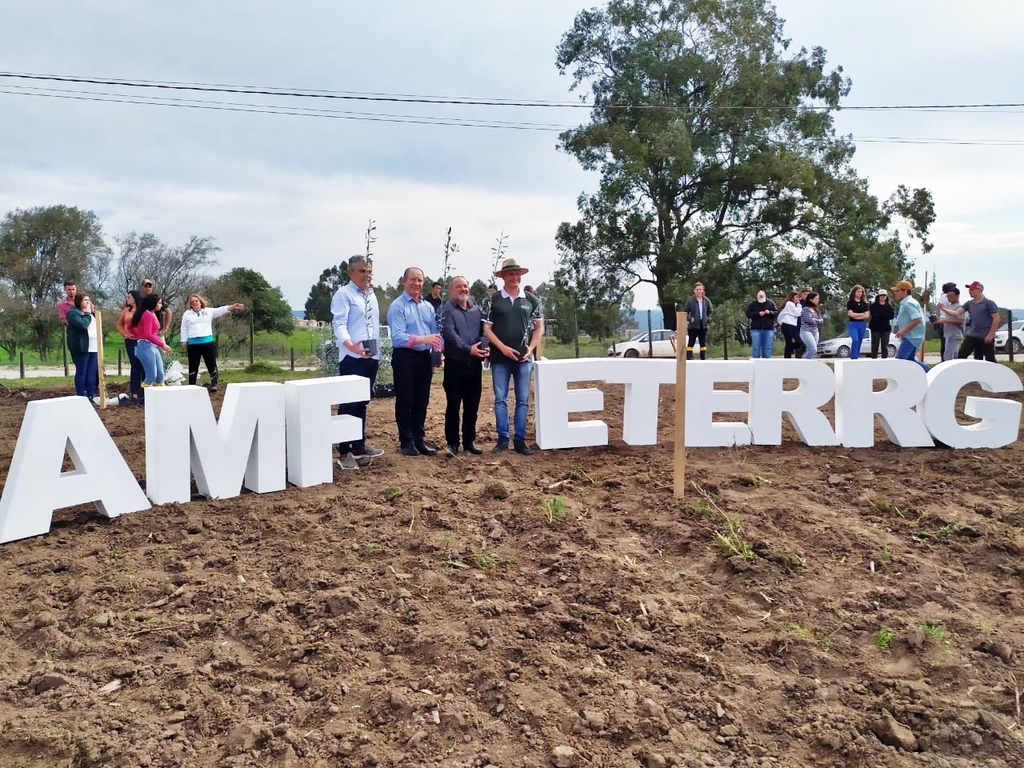 Projeto entre ETERRG e Fundação Antônio Menegheti inicia plantio de oliveiras em Caçapava do Sul