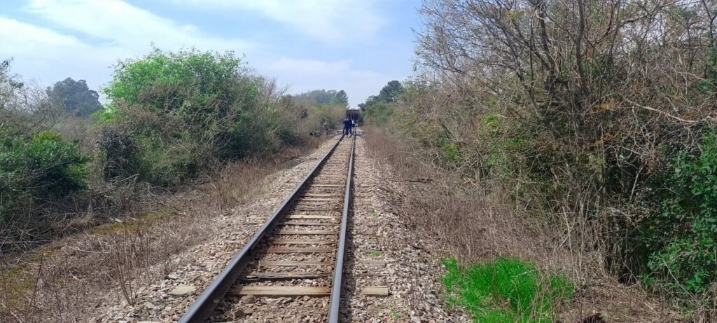 Homem morre após ser atropelado por trem em Dilermando de Aguiar