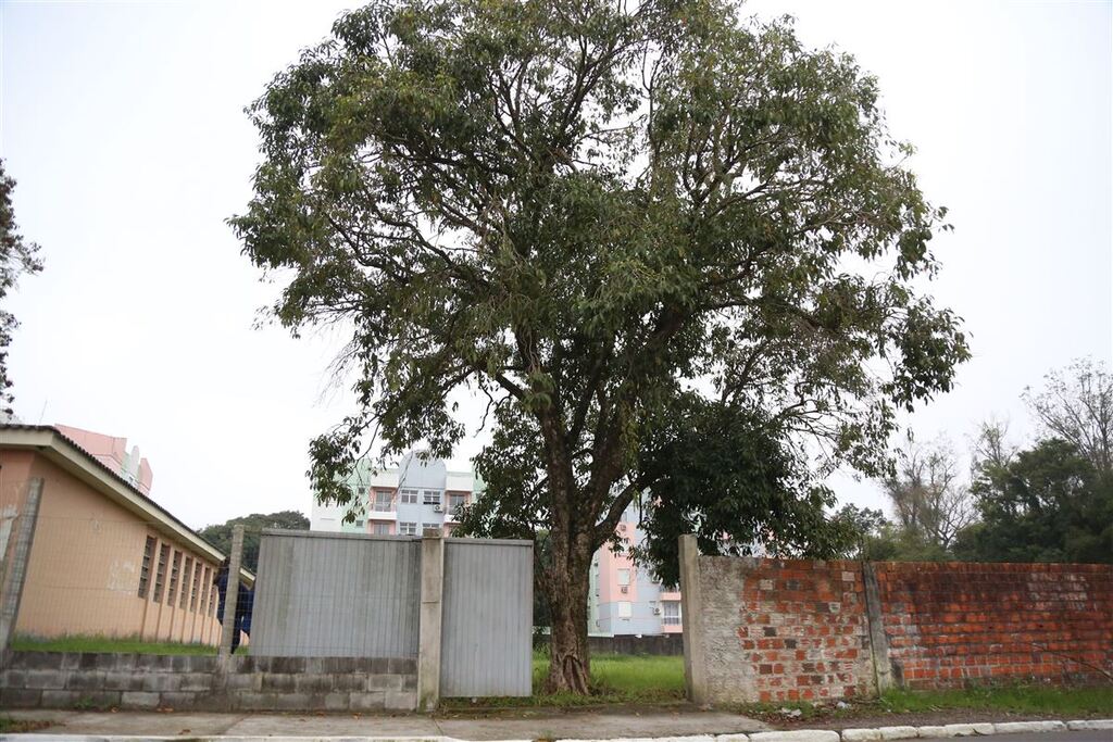 Professores concluem formação em educação ambiental e vão ampliar projetos  em escolas de Santa Maria