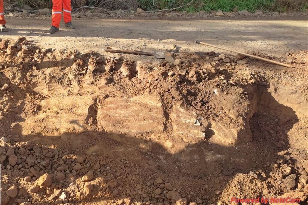 Deni Zolin: tronco de árvore fossilizada é achado na obra de asfaltamento da estrada de Vale Vêneto