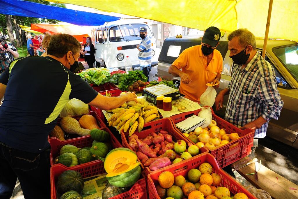 Para amenizar impactos da estiagem, produtores da agricultura familiar de Santa Maria vão receber auxílio de R$ 400