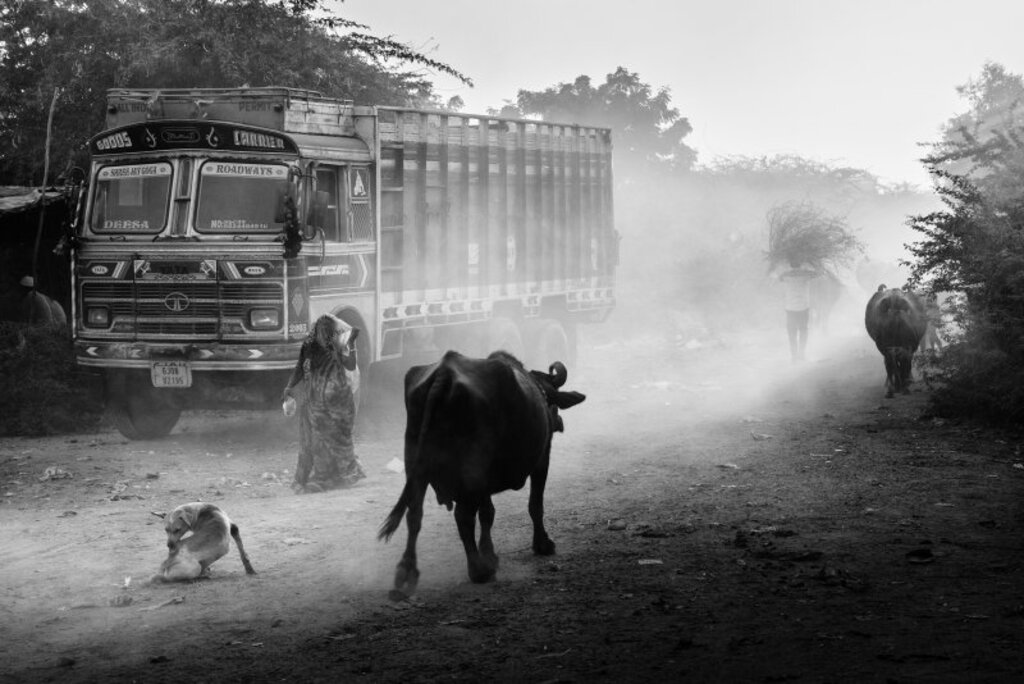 Vencedores do 44º Concurso Fotográfico de Santa Maria receberam premiações nesta quarta-feira