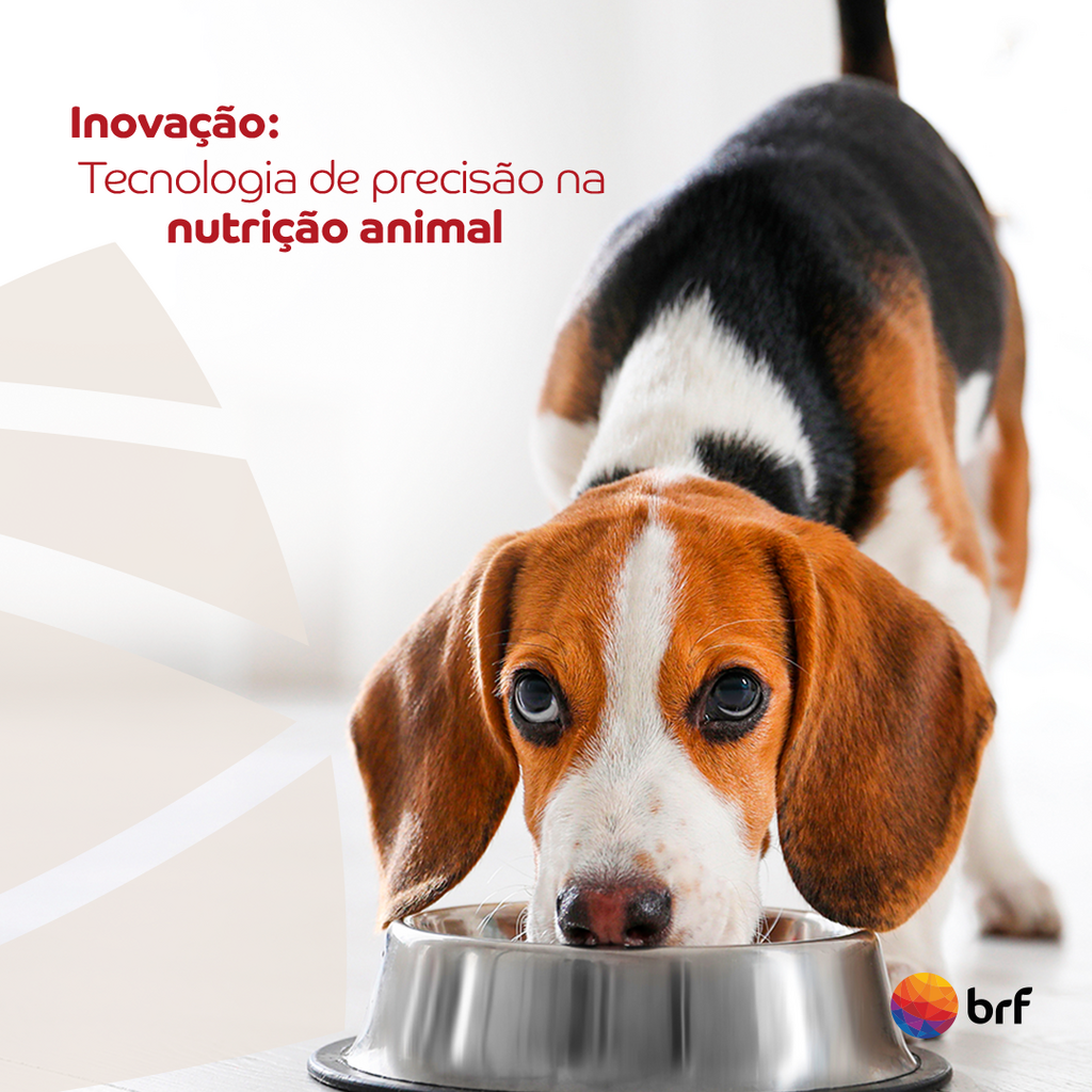 Inovação BRF:
Tecnologia de precisão na nutrição animal