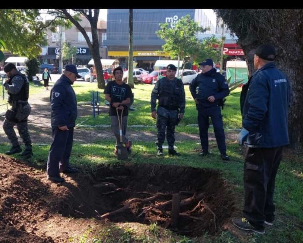 Divulgação/JC - Fato curioso ocorreu na manhã de terça-feira.