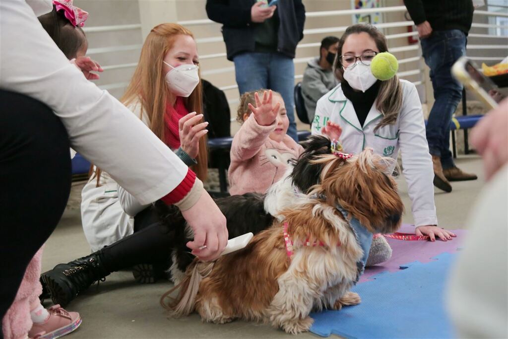 Pet terapia alegra e desenvolve crianças atendidas pela Apae de Santa Maria