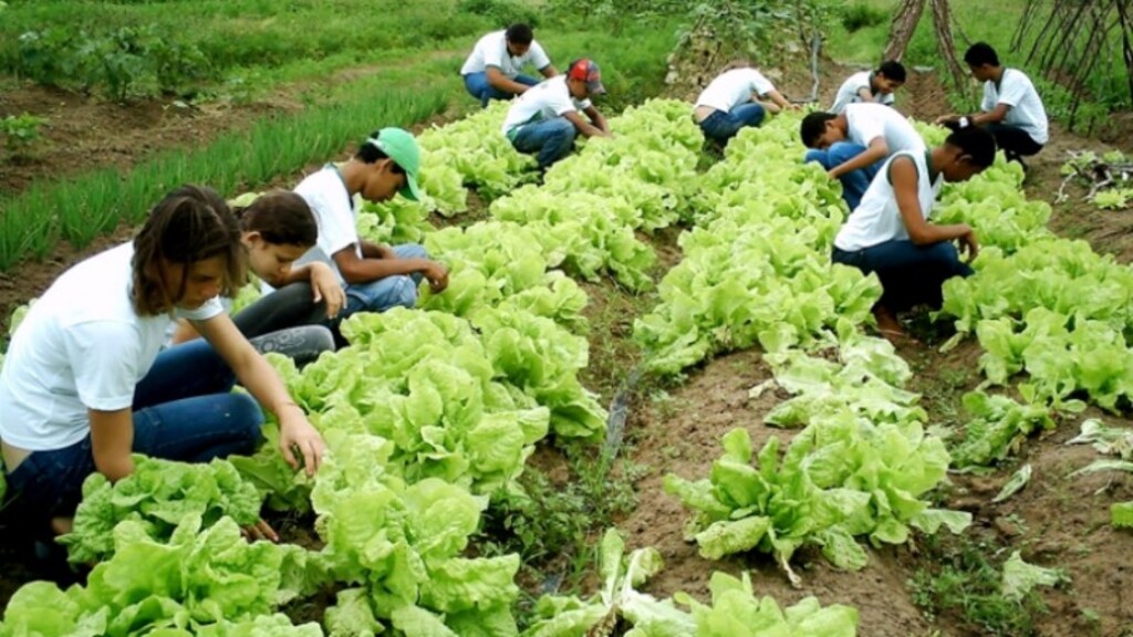 Termina em julho prazo de envio de documentação para programa Bolsa Juventude Rural