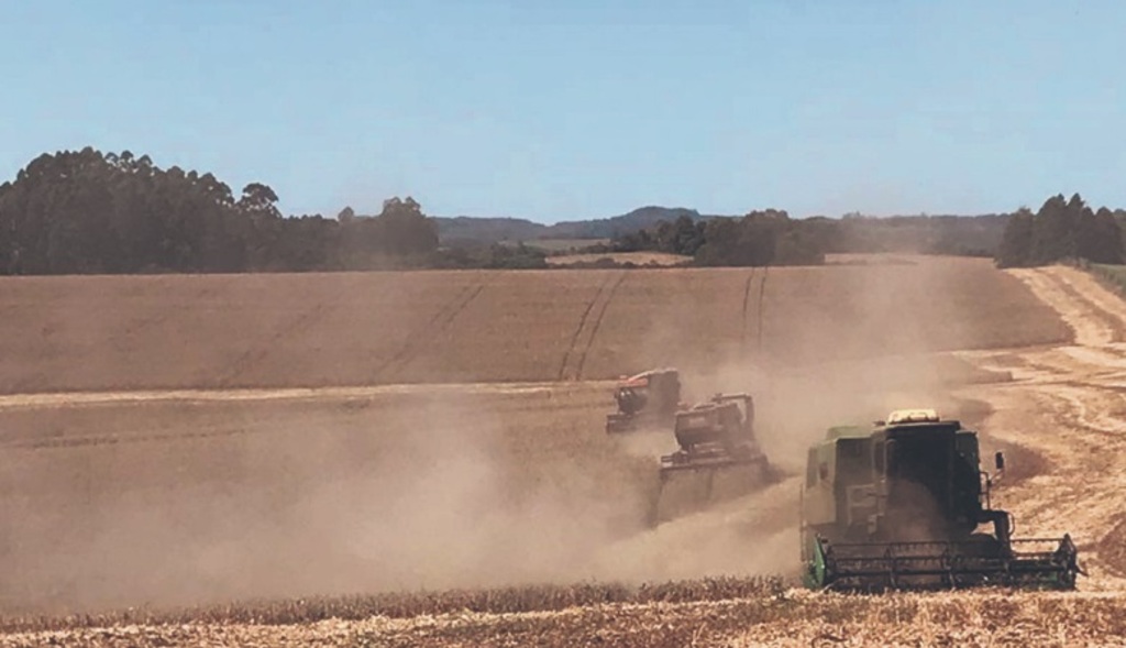 Deni Zolin: de quanto foi o prejuízo na safra de arroz e soja com o fim da colheita na Região Central?