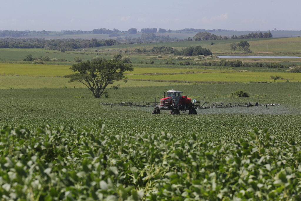 Brasil deverá colher safra recorde de grãos em 2022