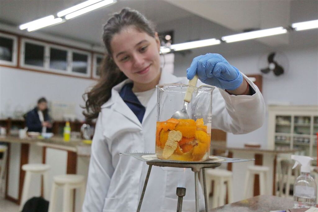 “Bergacida” produzido por estudantes do Ensino Médio é capaz de conter o mosquito da dengue