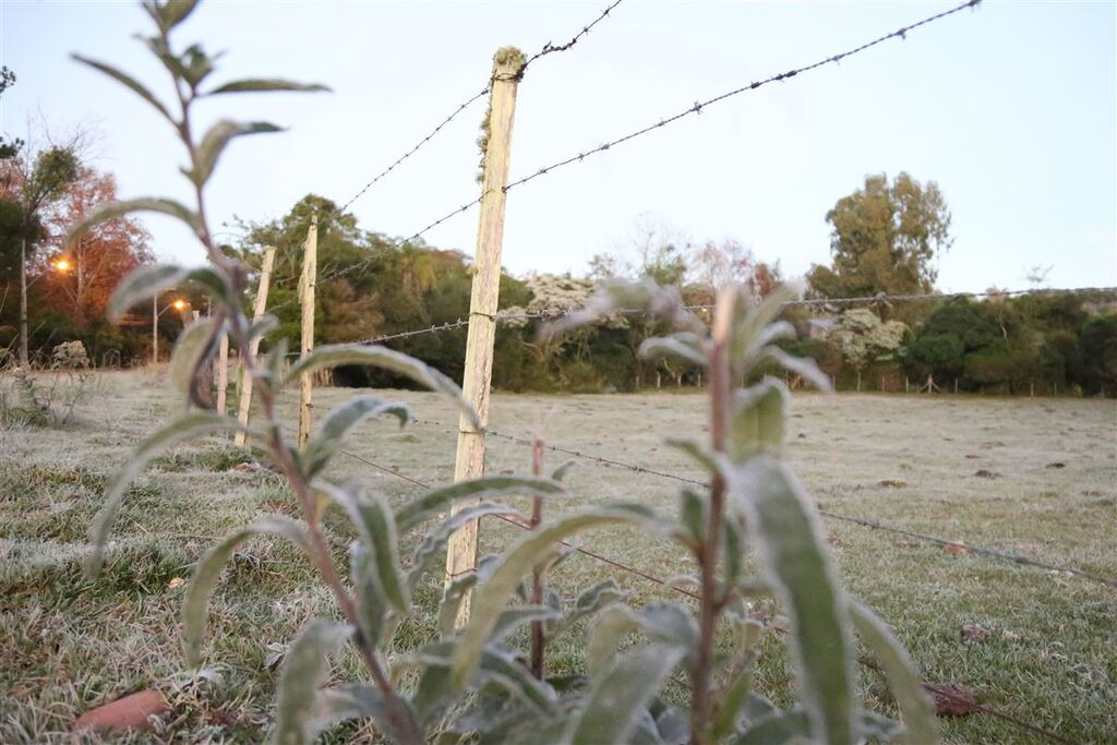 Geada e temperaturas negativas são registradas na Região Central