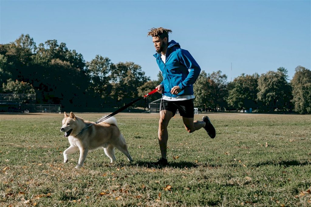 Correr faz bem para seu cachorro (e pra ti também)