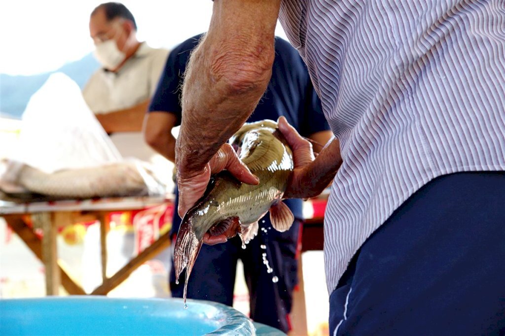 Feira do Peixe Vivo comercializa mais de 100 toneladas de pescados