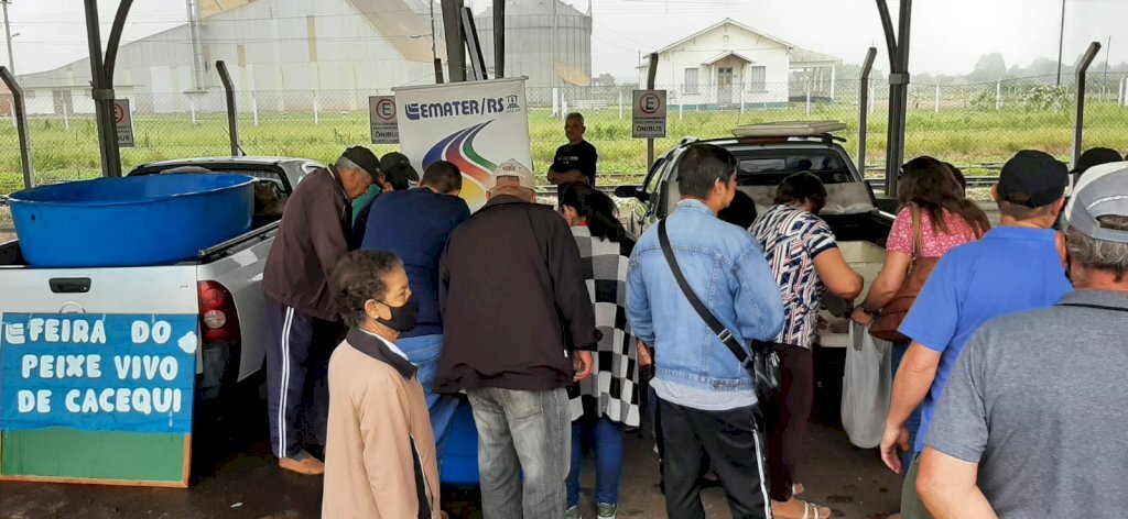 Mais de 300 toneladas de pescado devem ser vendidas na região na Semana Santa