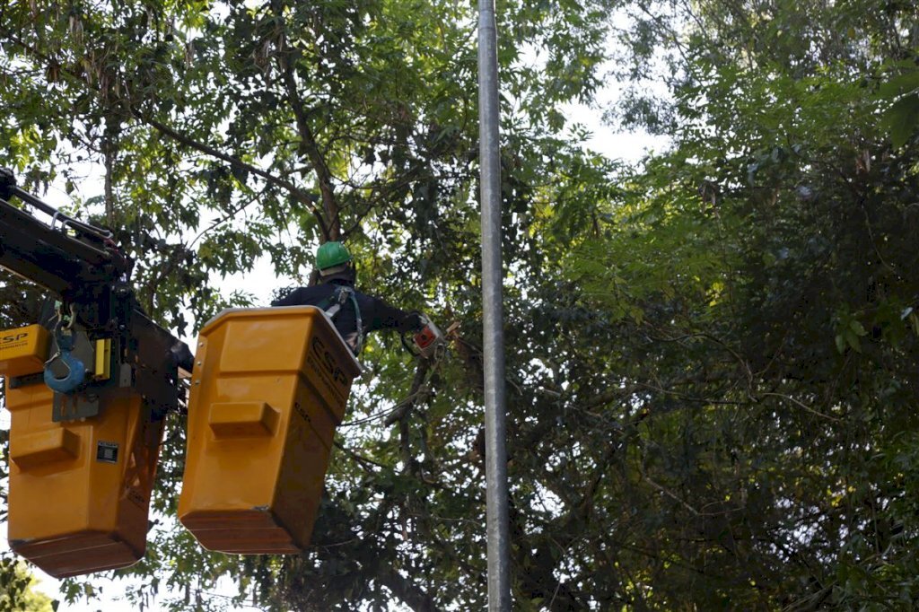 VÍDEO: limpeza da Estrada do Perau avança e deve ser concluída nos próximos dias