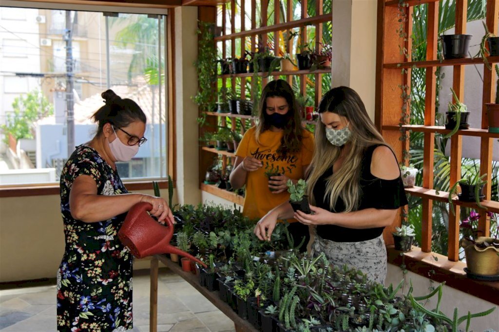 VÍDEO: Comércio de plantas cresce na pandemia e impulsiona novos negócios