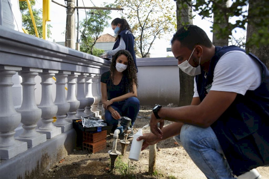 3 anos depois, o que aprendemos com o maior surto de toxoplasmose do mundo?