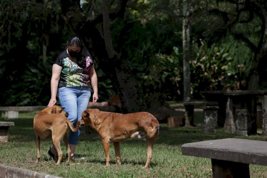 VÍDEO: Projeto Zelo da UFSM lança campanha de doações a partir de R$ 1