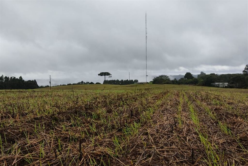 Agricultores da região se preparam para chuvas intensas; saiba como fenômenos climáticos podem impactar na produção e no bolso do consumidor