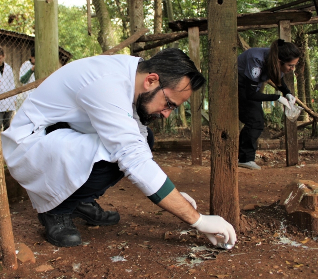 Divulgação - No Zoo, o grupo atuou na coleta de fezes de aves e mamíferos e penas soltas nos recintos das aves.