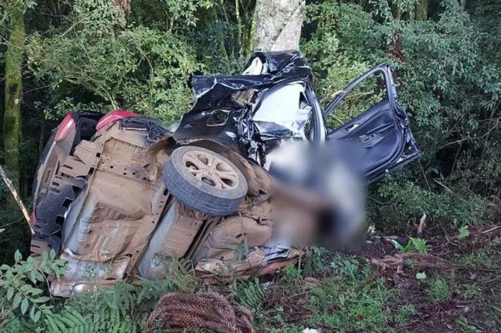 Três jovens morrem após carro colidir contra pinheiro às margens de rodovia em SC