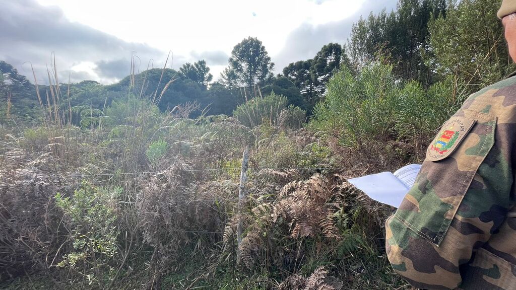 Polícia Ambiental fiscaliza áreas degradadas em  Lages e Anita Garibaldi