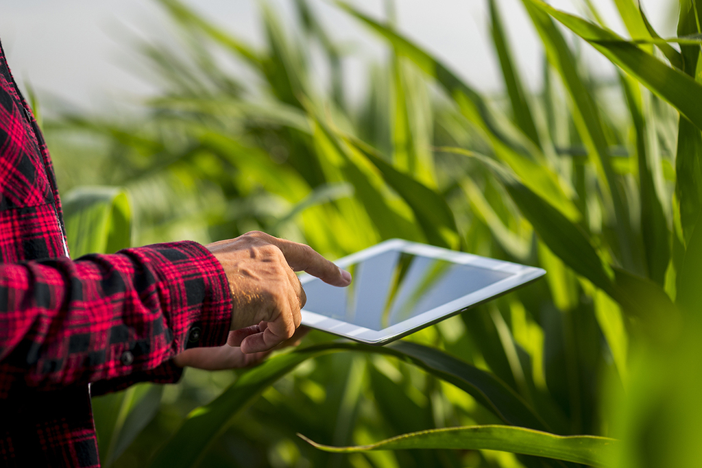 Curso é idealizado para produtores rurais