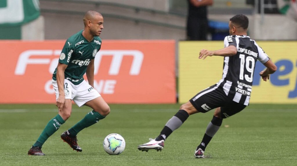 Vitória de líder: Botafogo vence Palmeiras por 1 x 0